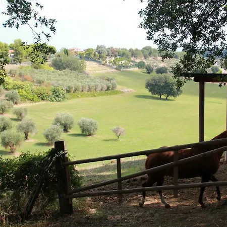 Glamping Poggio Imperiale Marche